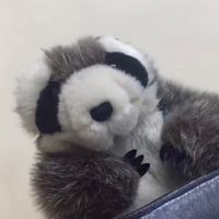 jin_guri