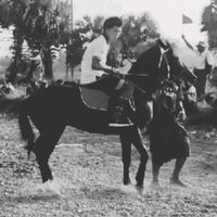 original sound - Rn -Jowi Rider