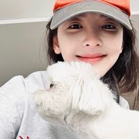 wen.lin106