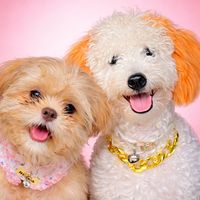 original sound - tiktokmashup