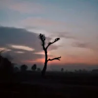 original sound - sadboyy14352
