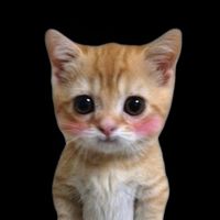 오리지널 사운드 - 갬성송