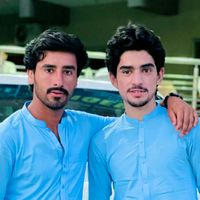 tiger__attakhan