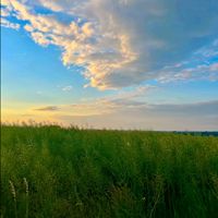 blue.fresh9_stillhope