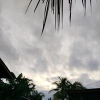 suara asli - Sumi HerSa  🩵
