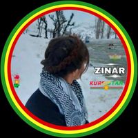 z.i.n.a.r.21.56