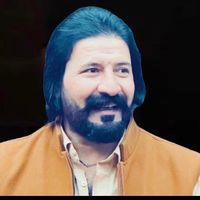 shadizainoorzai