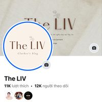theliv.clothessvlog