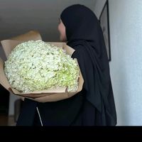 yasmina.5115