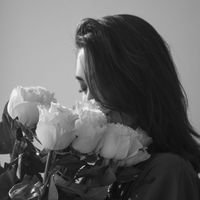 noname233320