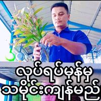 linmyataung451