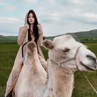 original sound - kdz03240