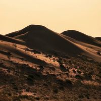 الصوت الأصلي