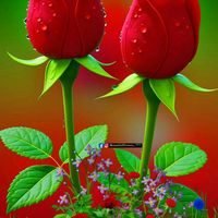 zadiii_01.ll