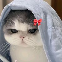 ri.__.ma4