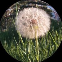 오리지널 사운드 - .