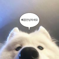 lrsaiwo