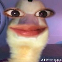 yim444444