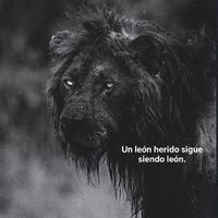 ale.ocampo15