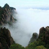 原声 - 期待未来