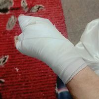 الصوت الأصلي