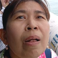sator_11221122