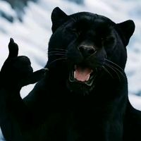 suara asli - doy18👑