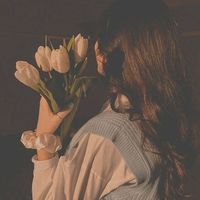 lin_lino4