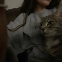 alylyricss