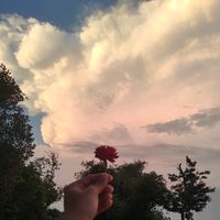 tamannarahman28