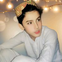 fidahussain3707