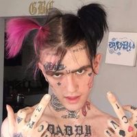 netypocki2.0