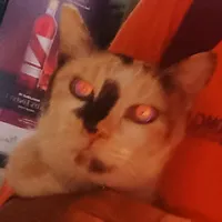 original sound - userthamymalik