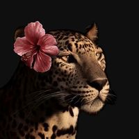 animall.loverr_