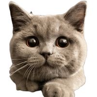 suara asli - Landiogi