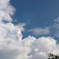 suara asli - Rah.Sky [AR]