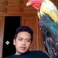 suara asli - DD