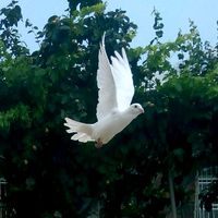 emre_ozdemir33