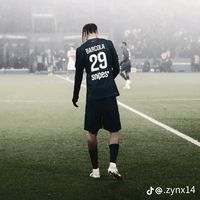 bassebabou7