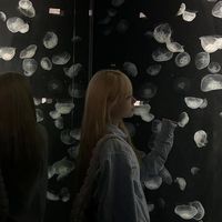 オリジナル楽曲 - ゆい!!