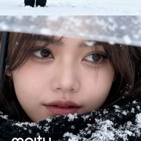 1577_michu
