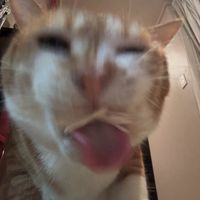 bmmtw2