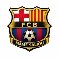 m_saliou19