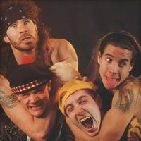 rhcp.fanss