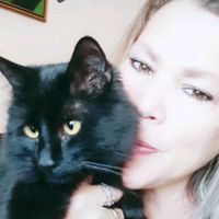 martiktok2cats