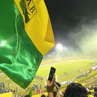 yfsf_1