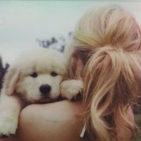 original sound - bella