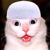 nhnayem17