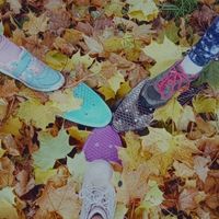 penny.board.blbky