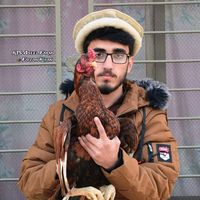 faizankhanaseel1